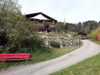 Cosy Swiss Chalet Chnorz Rooms - 1