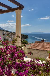 Villa King Apartments - 4