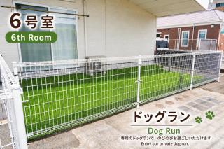 Green Field - 5