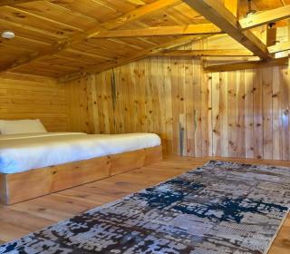 Fogland Hotel Nathia Gali - 6