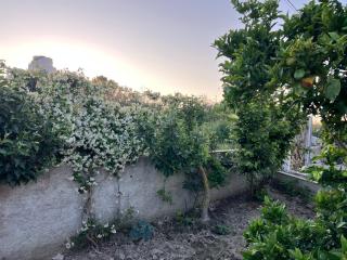 Saimir House - 4