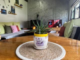 Kuća za odmor-Aleksandra - 8