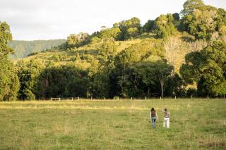 The Langville Estate in Kin Kin - 2