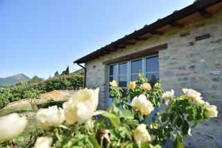 Agriturismo Borgo Pieve Petroia - 0