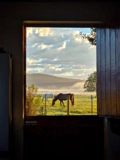 Braveheart Cottage - 3