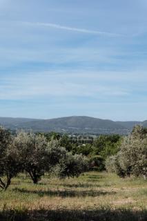 Domaine Lou Amì - 4