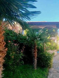 Pecani Perla Del Mar - Coastal Art Residence - 5