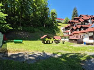 Cristal Sinaia - 8