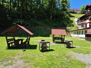 Cristal Sinaia - 7