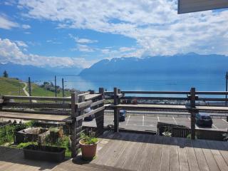 Loft duplex à Grandvaux entre vignes et vue sur le Léman - 0