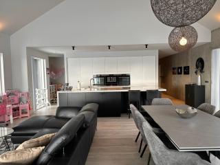 Luxury lakefront Villa 15 min drive to downtown - 1