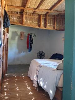 Malova-Palm Pulse Homestead Outpost - 3
