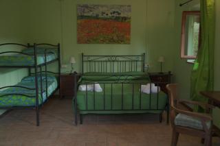 La dimora degli Etruschi - 7