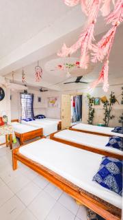 Backpackers Hub - 8