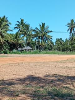 Malova-Palm Pulse Homestead Outpost - 4