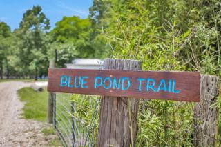Blue Pond Cottage Retreat Near Lake Conroe - 4