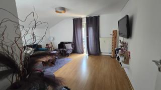 Radolfzell Bodensee - 2