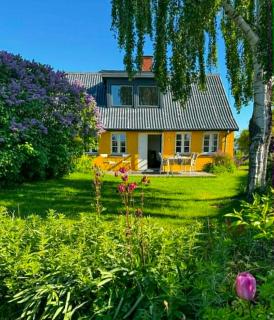 Summer House Among Fields Near Møns Klint - Borre - 0