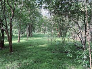 Old bungalow - 3