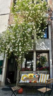 Unieke woning in het historisch stadscentrum - 7