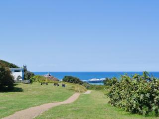 Blue Skies - 30260 - 4
