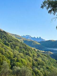 DOMAINE MARCELLESI Bergerie de Pio au cœur d une oliverai séculaire vue sur les Aiguilles de Bavella - 2