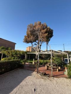 Domus Dafne Apartment - 6