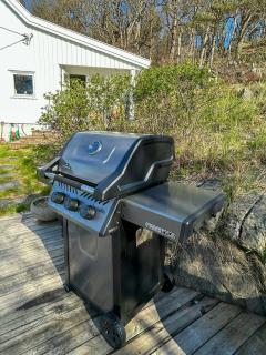 Private Cabin With Panoramic Views In Lillesand - 9
