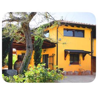 Vulture green retreat - 0