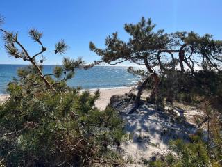 Hotell Bäckagården - Ystad - 6