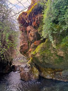 Les sources et grottes secrètes du Léman - 8