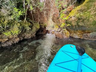 Les sources et grottes secrètes du Léman - 1