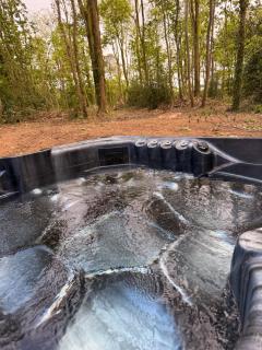 Forest Lodge with Hot Tub & Padel Tennis Court - 1