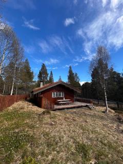 Borealis Mountain Lodge - 0