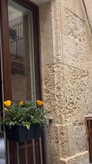 Suite Balmes 18 - 8