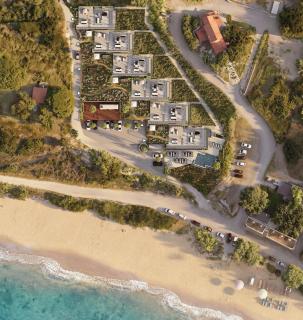 Turtle Home - 4