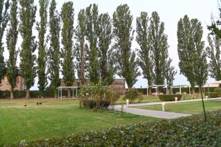 Best Western Hotel Green City - 4
