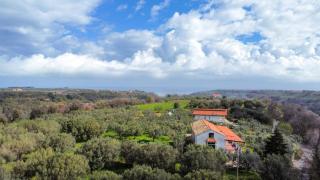 La Finestra sugli Ulivi - 8