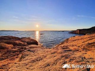 Cottage with Natural Plot and Sauna on Mjörn SE09134 - 8