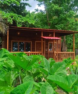 Vila Anambo - 7