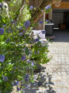 La Cour aux Bulles - 8