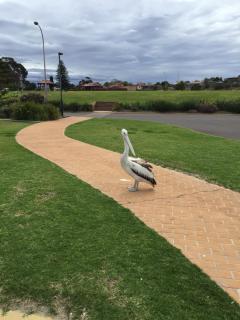 The Beach Hotel Whyalla - 1