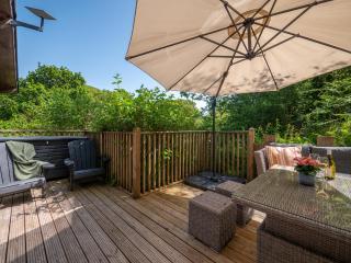 Rural Woodland Lodge with Log Fire & Sunny Deck - 3