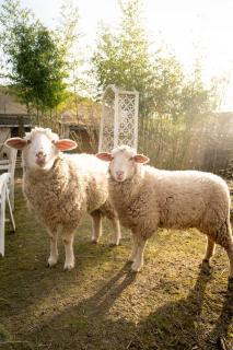 Rustikales Farmhaus mit Whirlpool - 3