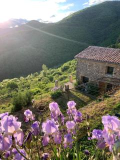 Haut Paradis - 8