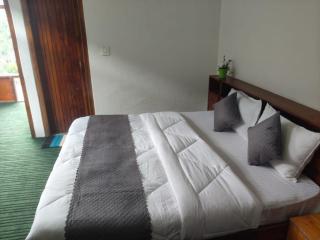 Hotel Alpine Manali - 9