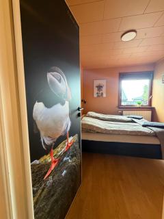 Guesthouse Leon - Historic Home Near City Center with Free Parking - 6
