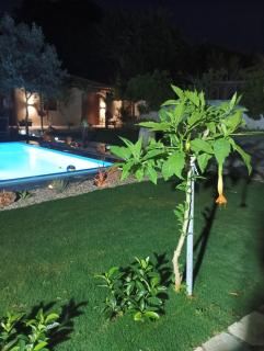Green Oasis House in Filerimos - 9