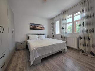 Konstanzer Podu Ros 11 - Spacious Apt - Palas Mall - AC - 7