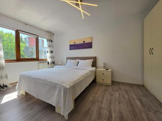 Konstanzer Podu Ros 11 - Spacious Apt - Palas Mall - AC - 4